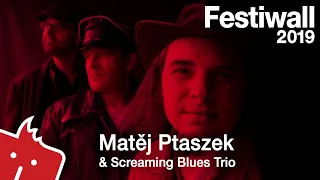 Festiwall 2019 Live - Matěj Ptaszek & Screaming Blues Trio