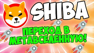 SHIBA INU ПЕРЕХОДИТ В МЕТАВСЕЛЕННУЮ ? ВАЖНАЯ ИНФОРМАЦИЯ ДЛЯ ДЕРЖАТЕЛЕЙ SHIBA