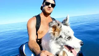 YBS Lifestyle Ep 12 - MEET MY DOG | Amazing Whale Encounter And Coral Jacuzzi