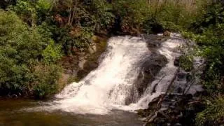 Deep Creek Waterfalls and Wildflowers, Great Smoky Mountains