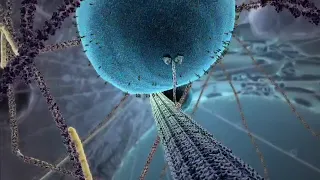 Inner Life of the Cell with Music (BioVisions)