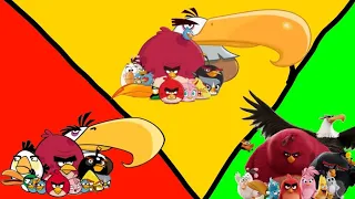 evolution of literally every angry bird that has one