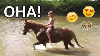 Mit Pferden im Wasser?! | Unglaublich ♥ | Marina und die Ponys