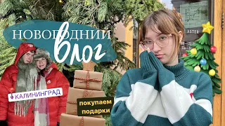 новогодний веселый влог 🎄❄️☃️