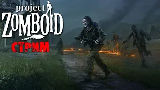 УБИВАЕМ 50К ЗОМБИ НОВАЯ ПОПЫТКА | Project Zomboid 41.78 | СТРИМ #6.