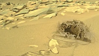 New Video Footage Of Mars Surface Captured By NASA'S Perseverance Rover