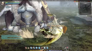 DN INA Crusader Post-Awakening Solo Manticore HC