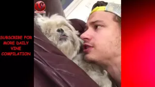 Funny Animals Vines Compilation 2015 | HD ★✔★