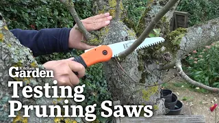 Testing Pruning Saws