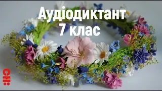 Українська мова 7 клас Аудіодиктант Український віночок