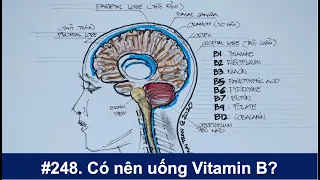 #248. Những ai cần uống Vitamin B?