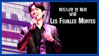 Les Feuilles Mortes 고엽 손태진 낮공 (23.3.8)