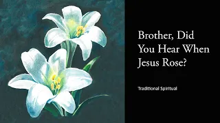 Brother, Did You Hear When Jesus Rose?