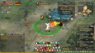 Tree Of Savior - Rune Caster VVR skilled casting stacks incorrect damage bonus bug