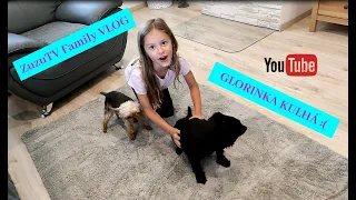 ZuzuTV FAMILY VLOG - Glorinka kulhá :-(