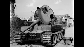 Don't buy Tiger 131#shorts