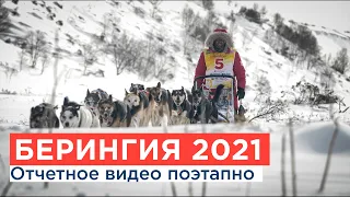 БЕРИНГИЯ 2021 Отчетное видео. Поэтапно