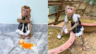 Intelligent Response: Monkey Kaka and the Egg Incident