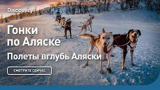 Гонки по Аляске | Полеты вглубь Аляски | Discovery