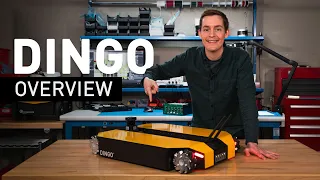 Meet DINGO  |  Indoor Mobile Robot for Research & Education