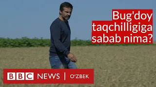 Дунёдаги буғдой етишмовчилигига нима сабаб бўлиши мумкин? - BBC News O'zbekiston Wheat Bug'doy FAO