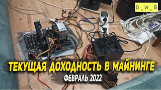 Как рассчитать доходность в майнинге - февраль 2022 | D_W_S