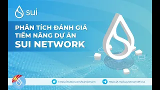 Sui Network là gì ? Phân tích và đánh giá tiềm năng dự án Sui Network