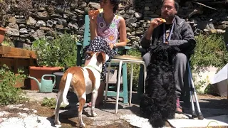 Vlog: vita in montagna, temporale, primo pranzo in giardino e nuove semine