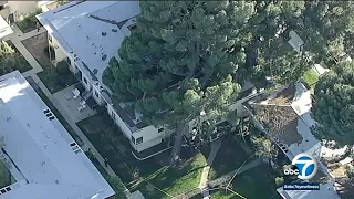 Powerful winds take down large pine tree in Sherman Oaks
