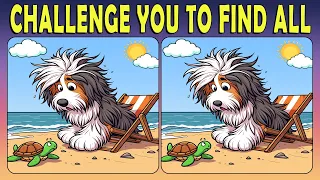 Find The Difference Game : Puzzle Game [ Spot The Differences #140 ]