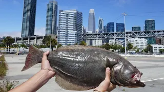 Halibut Fishing in Downtown SF