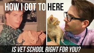 Is Vet School Right For You? My Experience