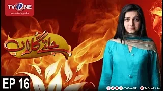 Jaltay Gulab | Episode 16 | TV One Classics | 25th November 2017