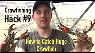 How to Catch Huge Crayfish Crawfishing Hack #9