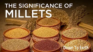 Why millets in India?