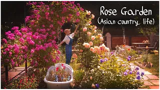 #44.Pink Rose Garden🌹 A day in the scent of beautiful roses😍ㅣrose garden ㅣKorea's Country Garden🌺