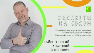 "Эксперты на связи". Выпуск 9.