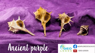 Ancient purple dye came from what, now? Watch to see the unexpected origins of the color purple!