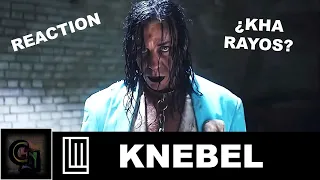 Lindemann - Knebel | Reaction of an a MEXICAN FAN