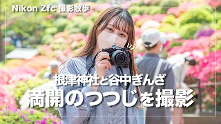 【根津神社・谷中ぎんざ】Nikon Zfcで満開のつつじを撮影