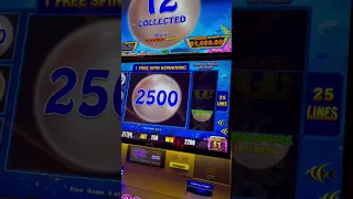 $250 Max Bet JACKPOT In Las Vegas Casino