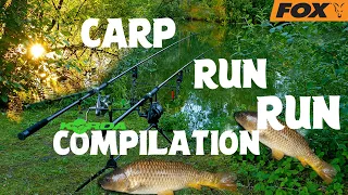 Carp Run COMPILATION 2021! #freestylefishing Part I Passion Carp