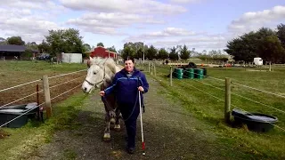 #blindability | horses travel and photography