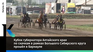 Кубок губернатора Алтайского края по скачкам в рамках Большого Сибирского круга прошёл в Барнауле