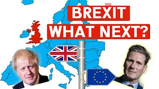 Britain Regrets Brexit – But What Should The UK Do Next?