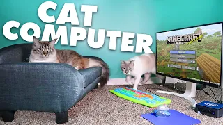 Giving my cats their own computer! | Monday Vlog