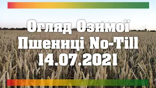 Огляд Сортів Озимої Пшениці No-Till 2021