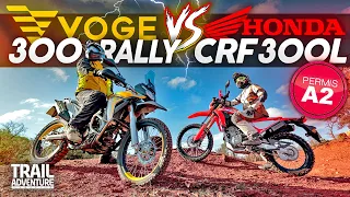 HONDA CRF300L VS VOGE 300 RALLY ! Vive les petits mono A2 !