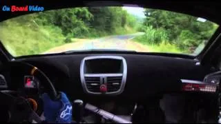 Cameracar 13°Rally moscato 2014 Vola-Montaldo Peugeot 207 S2000