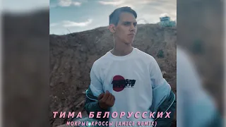 Тима Белорусских - Мокрые Кроссы (Amice Remix) 🗒 Текст песни 💾 Скачать песню